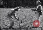 Image of farmer plows farm on tractor Savannah Georgia USA, 1939, second 46 stock footage video 65675037006