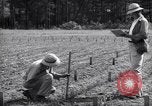 Image of farmer plows farm on tractor Savannah Georgia USA, 1939, second 47 stock footage video 65675037006