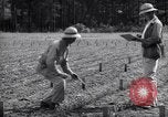 Image of farmer plows farm on tractor Savannah Georgia USA, 1939, second 54 stock footage video 65675037006