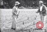 Image of farmer plows farm on tractor Savannah Georgia USA, 1939, second 55 stock footage video 65675037006
