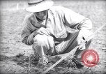 Image of farmer plows farm on tractor Savannah Georgia USA, 1939, second 56 stock footage video 65675037006