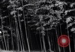 Image of experts test wild plant Savannah Georgia USA, 1939, second 12 stock footage video 65675037007