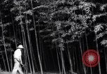 Image of experts test wild plant Savannah Georgia USA, 1939, second 13 stock footage video 65675037007
