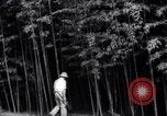 Image of experts test wild plant Savannah Georgia USA, 1939, second 14 stock footage video 65675037007
