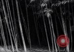 Image of experts test wild plant Savannah Georgia USA, 1939, second 16 stock footage video 65675037007