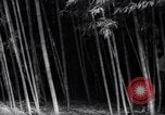 Image of experts test wild plant Savannah Georgia USA, 1939, second 19 stock footage video 65675037007