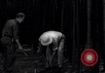 Image of experts test wild plant Savannah Georgia USA, 1939, second 29 stock footage video 65675037007