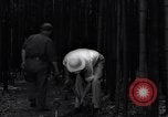 Image of experts test wild plant Savannah Georgia USA, 1939, second 30 stock footage video 65675037007