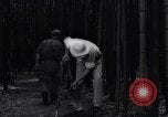 Image of experts test wild plant Savannah Georgia USA, 1939, second 31 stock footage video 65675037007