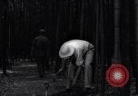 Image of experts test wild plant Savannah Georgia USA, 1939, second 33 stock footage video 65675037007