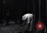 Image of experts test wild plant Savannah Georgia USA, 1939, second 35 stock footage video 65675037007