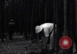 Image of experts test wild plant Savannah Georgia USA, 1939, second 36 stock footage video 65675037007