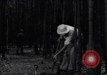 Image of experts test wild plant Savannah Georgia USA, 1939, second 38 stock footage video 65675037007