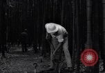 Image of experts test wild plant Savannah Georgia USA, 1939, second 39 stock footage video 65675037007