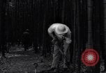 Image of experts test wild plant Savannah Georgia USA, 1939, second 40 stock footage video 65675037007