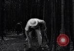 Image of experts test wild plant Savannah Georgia USA, 1939, second 41 stock footage video 65675037007
