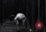 Image of experts test wild plant Savannah Georgia USA, 1939, second 42 stock footage video 65675037007
