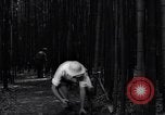 Image of experts test wild plant Savannah Georgia USA, 1939, second 43 stock footage video 65675037007