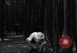 Image of experts test wild plant Savannah Georgia USA, 1939, second 45 stock footage video 65675037007
