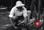 Image of experts test wild plant Savannah Georgia USA, 1939, second 48 stock footage video 65675037007