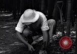 Image of experts test wild plant Savannah Georgia USA, 1939, second 50 stock footage video 65675037007