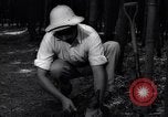 Image of experts test wild plant Savannah Georgia USA, 1939, second 53 stock footage video 65675037007