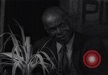 Image Clinique de santé du comté du sud de l'USA Brunswick Georgia USA, 1939, de la seconde 55 séquences d'archives historiques vidéo 65675037014