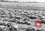 Image Ferme expérimentale Ford Ways Georgia USA, 1939, de la seconde 17 séquences d'archives historiques vidéo 65675037017
