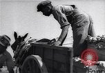 Image Ferme expérimentale Ford Ways Georgia USA, 1939, de la seconde 18 séquences d'archives historiques vidéo 65675037017