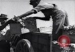 Image Ferme expérimentale Ford Ways Georgia USA, 1939, de la seconde 20 séquences d'archives historiques vidéo 65675037017