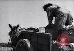 Image Ferme expérimentale Ford Ways Georgia USA, 1939, de la seconde 22 séquences d'archives historiques vidéo 65675037017