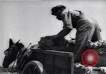 Image Ferme expérimentale Ford Ways Georgia USA, 1939, de la seconde 23 séquences d'archives historiques vidéo 65675037017