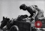 Image Ferme expérimentale Ford Ways Georgia USA, 1939, de la seconde 27 séquences d'archives historiques vidéo 65675037017