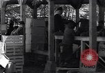 Image Ferme expérimentale Ford Ways Georgia USA, 1939, de la seconde 58 séquences d'archives historiques vidéo 65675037017