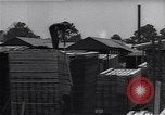 Image Ferme expérimentale Ford Ways Georgia USA, 1939, de la seconde 46 séquences d'archives historiques vidéo 65675037018