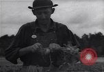 Image Ferme expérimentale Ford Ways Georgia USA, 1939, de la seconde 17 séquences d'archives historiques vidéo 65675037020