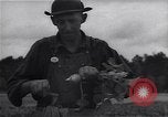 Image Ferme expérimentale Ford Ways Georgia USA, 1939, de la seconde 18 séquences d'archives historiques vidéo 65675037020