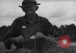 Image Ferme expérimentale Ford Ways Georgia USA, 1939, de la seconde 19 séquences d'archives historiques vidéo 65675037020