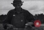 Image Ferme expérimentale Ford Ways Georgia USA, 1939, de la seconde 20 séquences d'archives historiques vidéo 65675037020
