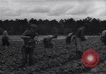 Image Ferme expérimentale Ford Ways Georgia USA, 1939, de la seconde 44 séquences d'archives historiques vidéo 65675037020