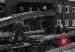Image Ferme expérimentale Ford Ways Georgia USA, 1939, de la seconde 18 séquences d'archives historiques vidéo 65675037022