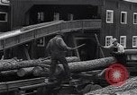 Image Ferme expérimentale Ford Ways Georgia USA, 1939, de la seconde 24 séquences d'archives historiques vidéo 65675037022