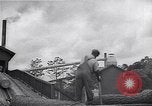 Image Ferme expérimentale Ford Ways Georgia USA, 1939, de la seconde 45 séquences d'archives historiques vidéo 65675037022