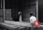 Image Ferme expérimentale Ford Ways Georgia USA, 1939, de la seconde 57 séquences d'archives historiques vidéo 65675037022