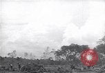 Image of Ford Experimental Farm Ways Georgia USA, 1939, second 1 stock footage video 65675037023
