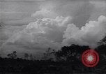 Image of Ford Experimental Farm Ways Georgia USA, 1939, second 6 stock footage video 65675037023