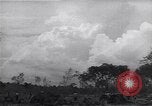 Image of Ford Experimental Farm Ways Georgia USA, 1939, second 12 stock footage video 65675037023