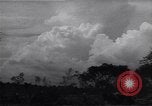 Image of Ford Experimental Farm Ways Georgia USA, 1939, second 13 stock footage video 65675037023