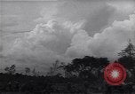 Image of Ford Experimental Farm Ways Georgia USA, 1939, second 16 stock footage video 65675037023