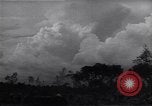 Image of Ford Experimental Farm Ways Georgia USA, 1939, second 21 stock footage video 65675037023